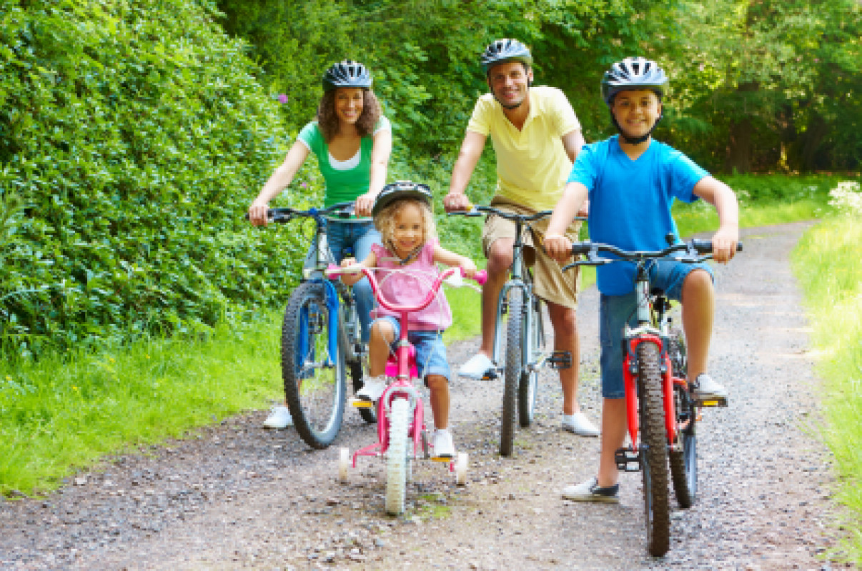 Activities in Romney Marsh